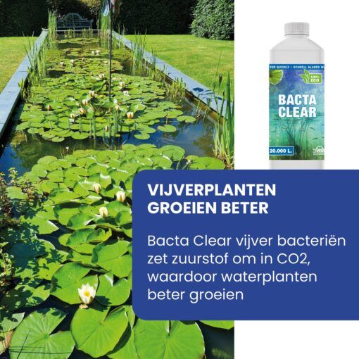 filters en waterverbeteraars. Bacta Clear bevat twee verschillende bacteriën die jouw vijver in balans brengen zonder het gebruik van extra producten en bespaart je op jaarlijkse kosten. Eenvoudig toe te voegen